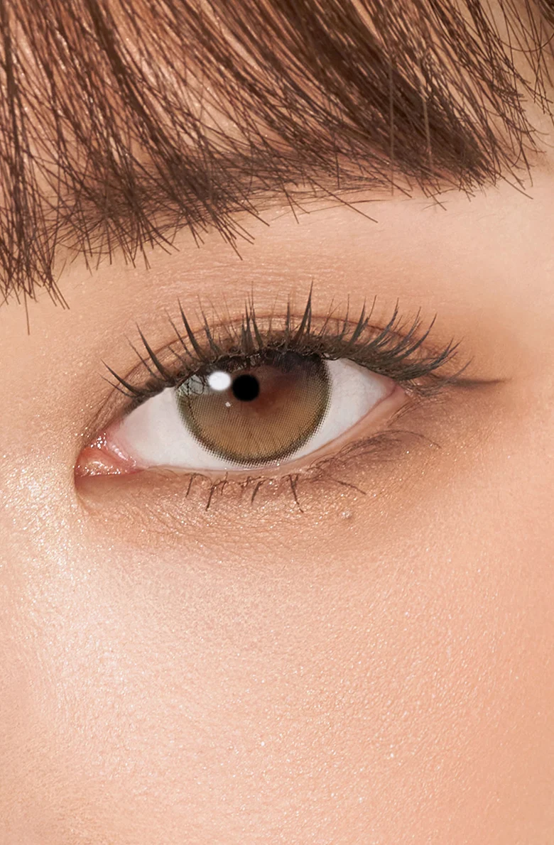 Secretive Kristin 1Day - Dusk Brown - Image 11
