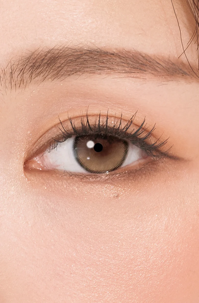Secretive Kristin 1Day - Antique Brown - Image 22