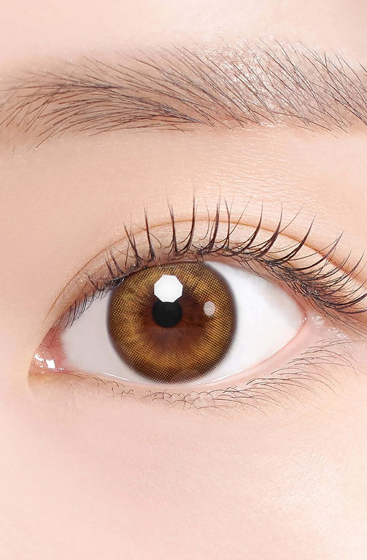 Bittersweet Kristin 1Day - Hazel Brown (2pcs) - Image 8