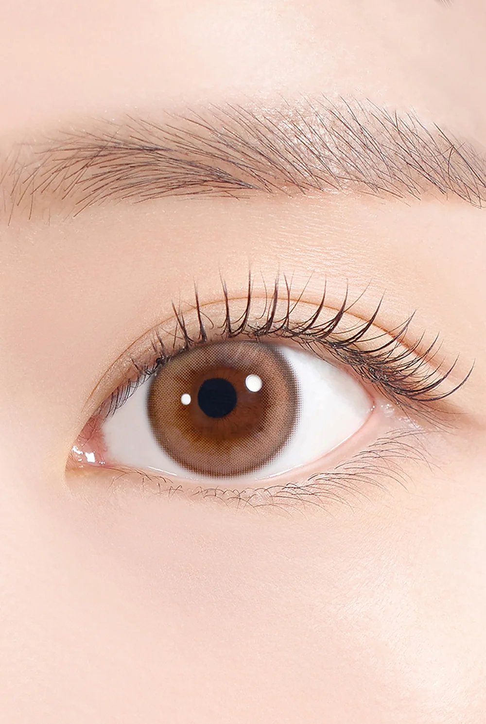 Cosmo Kristin 1Day - Brown (2pcs) - Image 5
